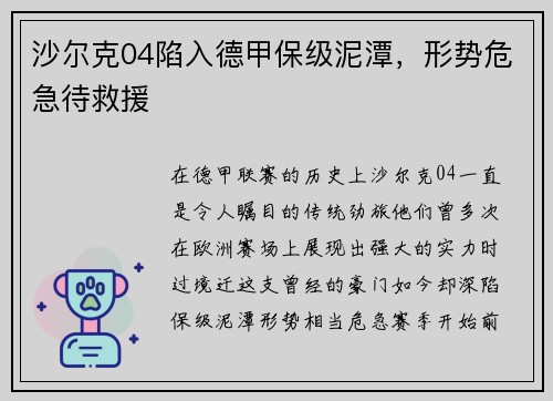 沙尔克04陷入德甲保级泥潭，形势危急待救援